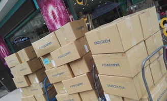 小家電、化工日用品與寵物食品進口清關渠道的穩定性探析